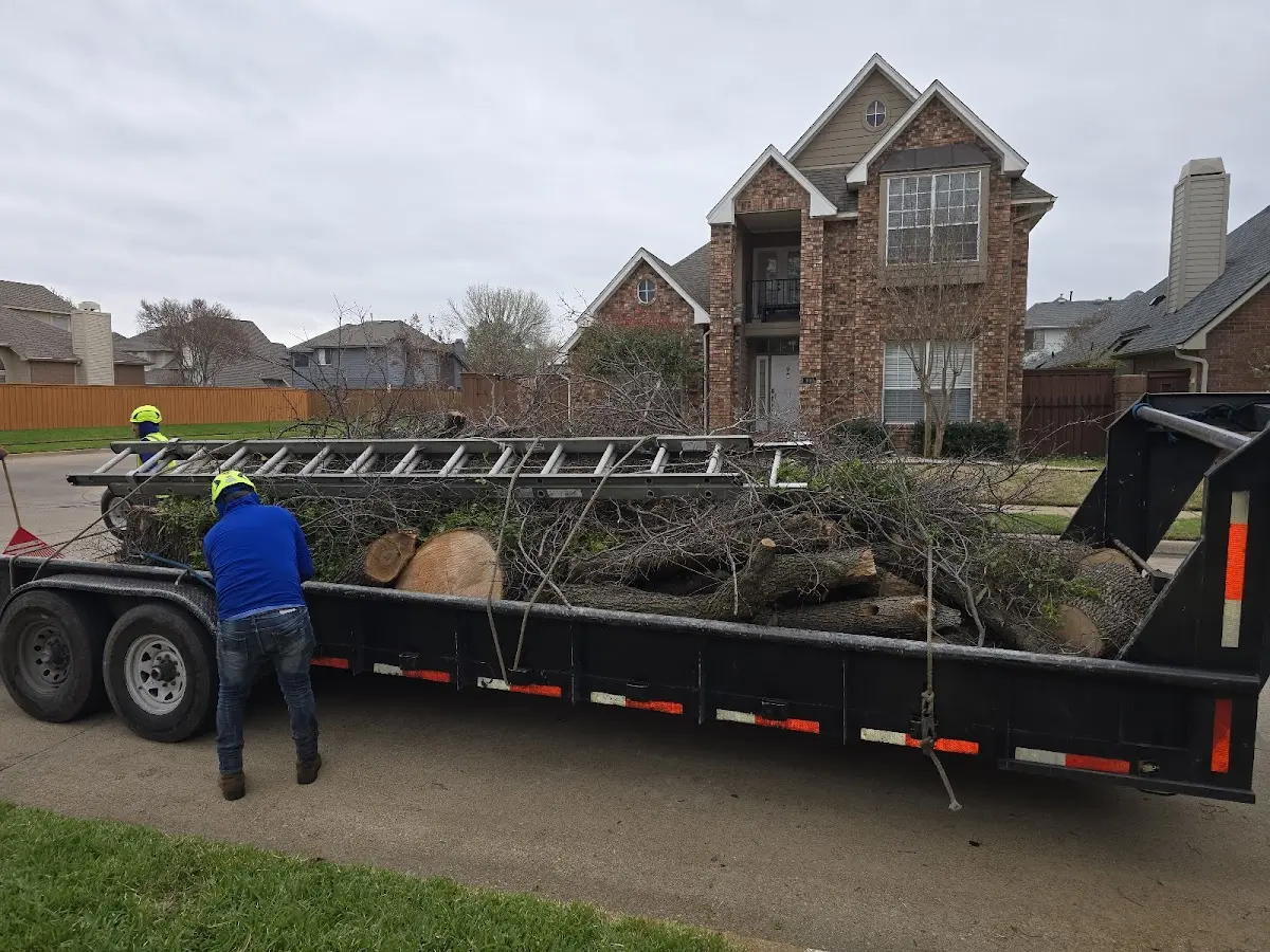 Expert Tree Pest Control with proper safety equipment in Nash